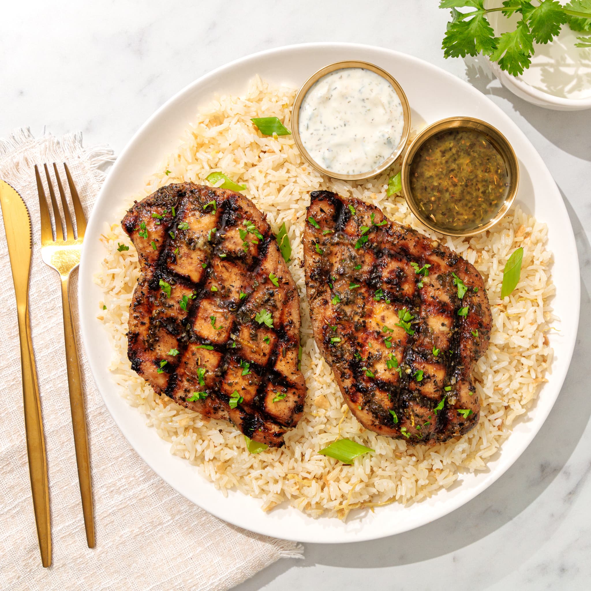 Greek Souvlaki chicken skewers with dip